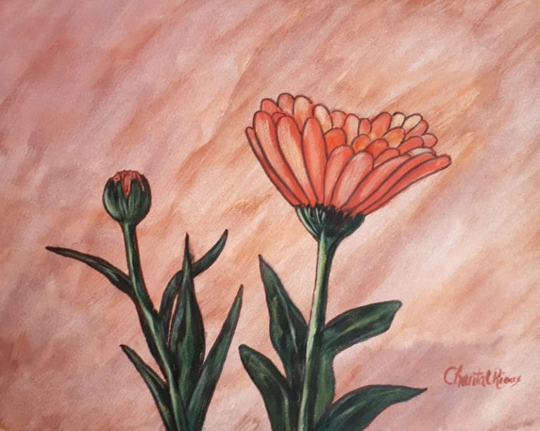 Peach daisy - watercolor and acrylic - 8X10 on 11X14 paper - Image 4