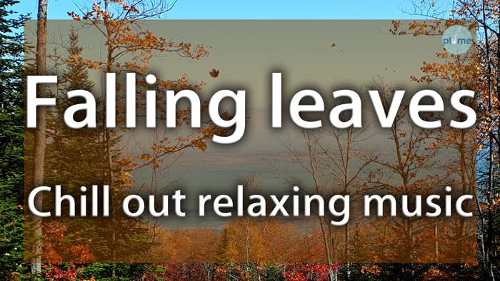 Falling leaves Chill out relaxing music