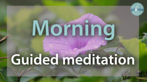 Morning guided meditation