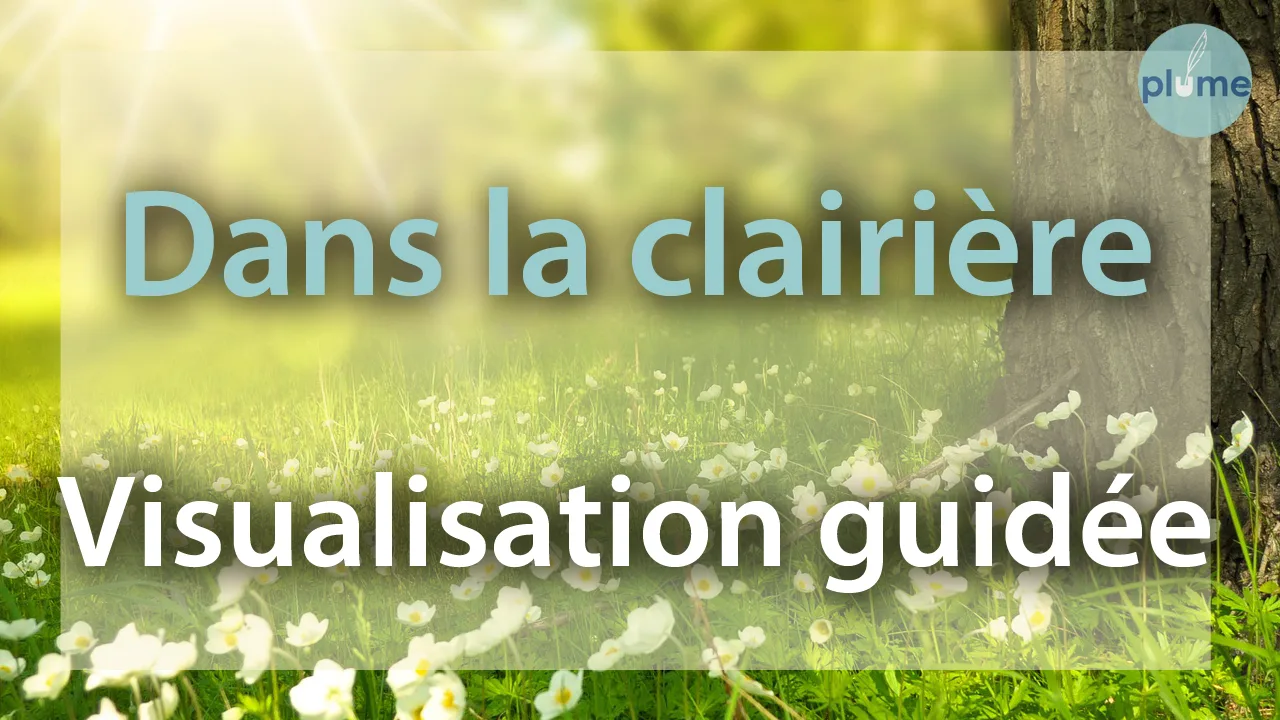 Visualisation Dans la clairière Méditation guidée